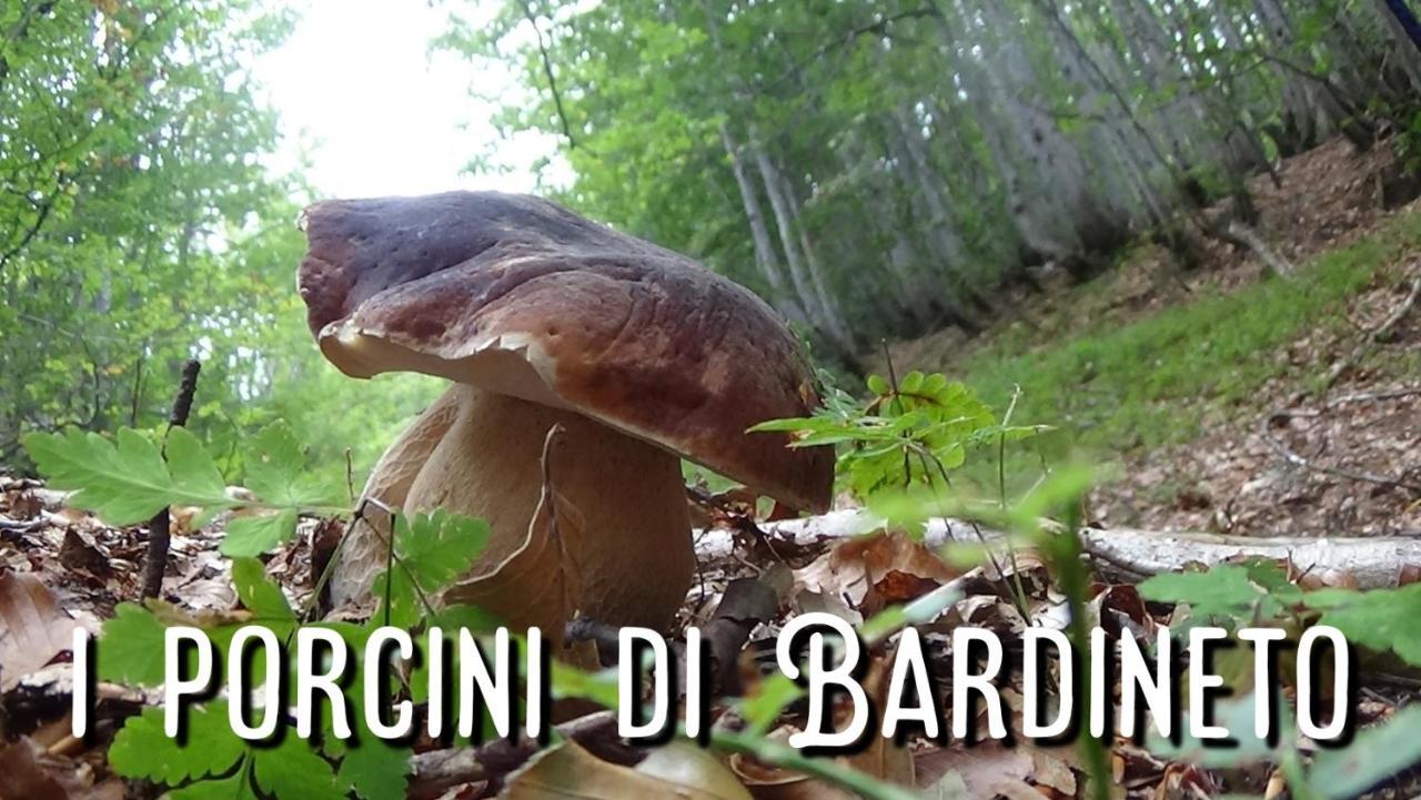Kalimera Bardineto Exteriör bild